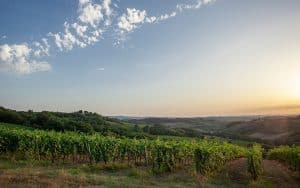 Agriturismo Tenuta Moriano