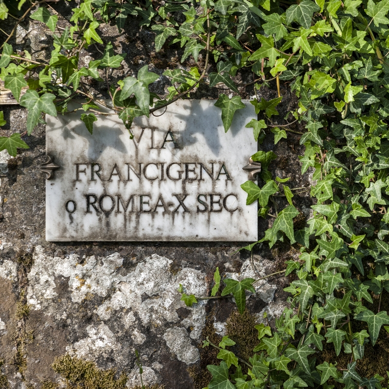 Tenuta Moriano in Toscana, agriturismo nel verde